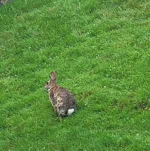 Meet your Posher, Melissa a